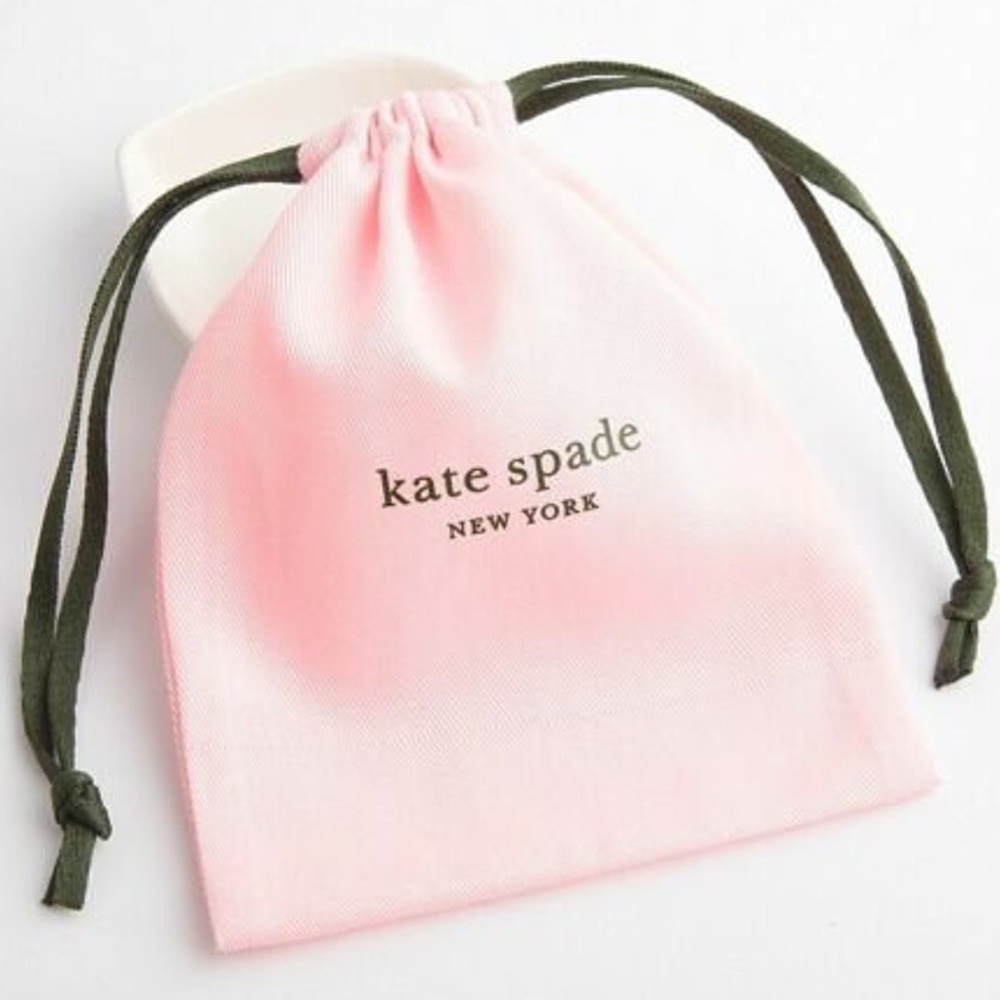 Kate Spade jewelry bag
